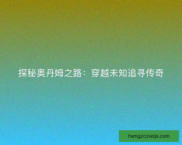 探秘奥丹姆之路：穿越未知追寻传奇