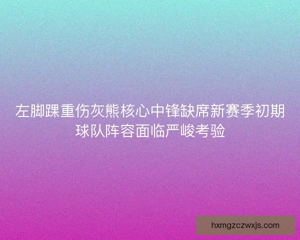 左脚踝重伤灰熊核心中锋缺席新赛季初期球队阵容面临严峻考验