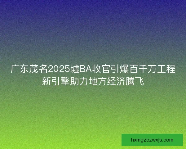 广东茂名2025墟BA收官引爆百千万工程新引擎助力地方经济腾飞